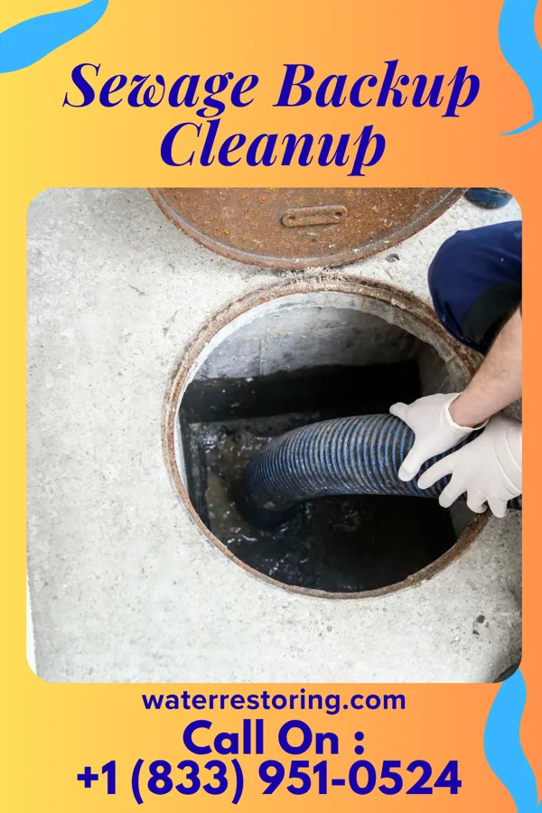 Sewage Backup Cleanup in Decatur, TN